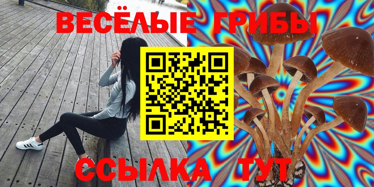 Галлюциногенные грибы Magic Shrooms Миасс