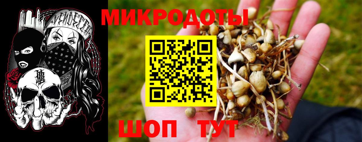 Миасс  Галлюциногенные грибы Magic Shrooms  Вход с VPN 