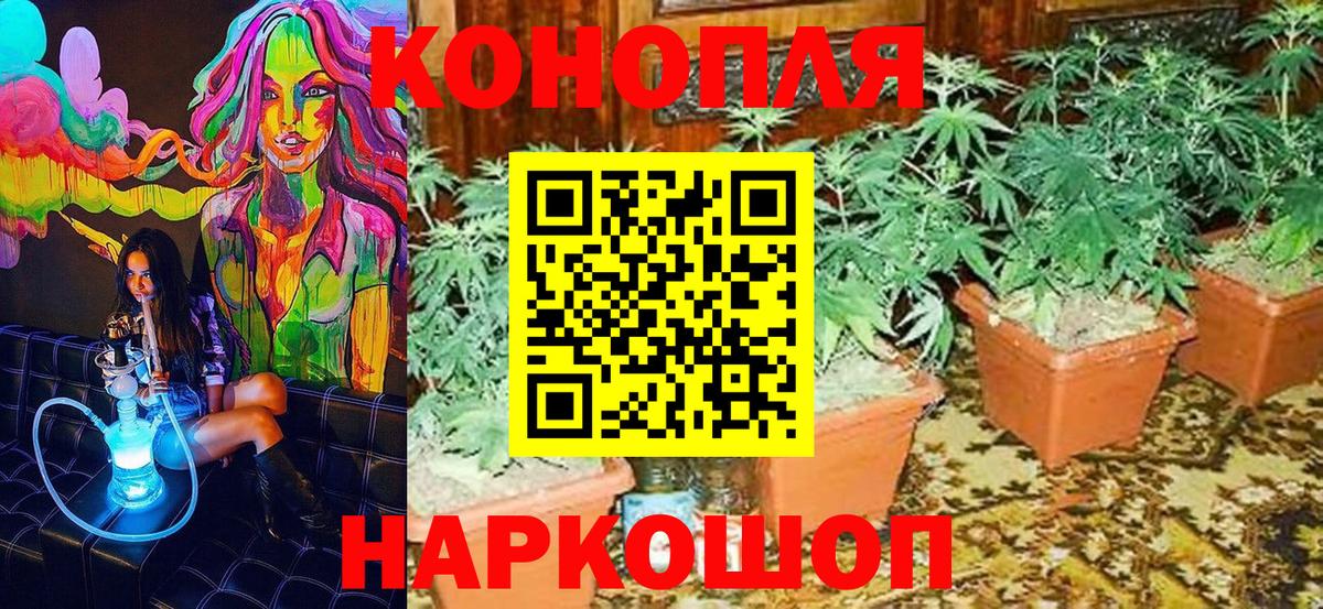 Конопля Ganja  Марихуана сатива  Миасс  Вход с VPN 